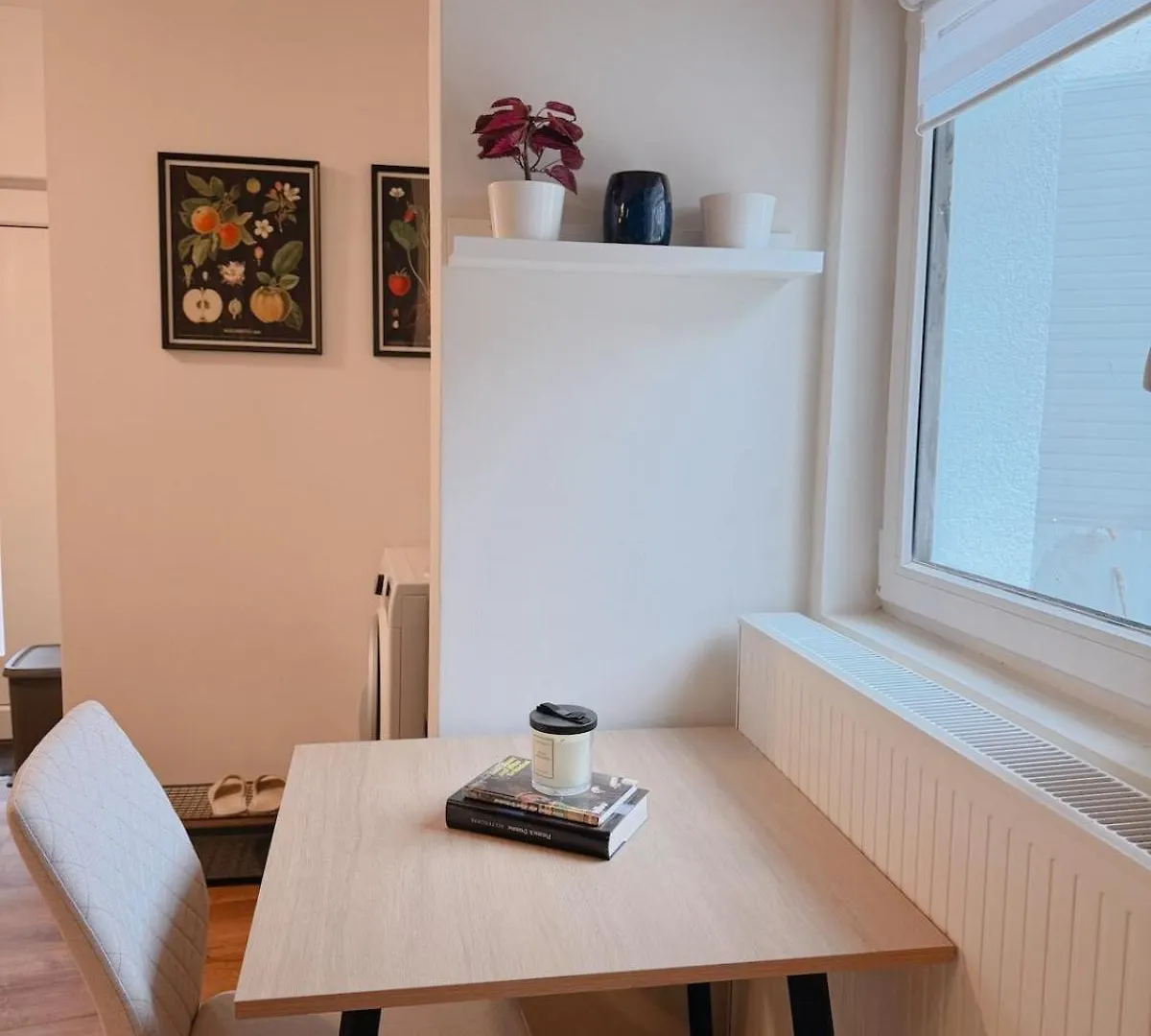 公寓 美因河畔法兰克福Cozy & Stylish Flat In Frankfurt公寓 德国